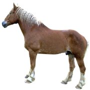 07-713609