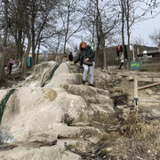 IMG-1233