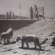 Persepolis