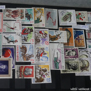 IMG-3200