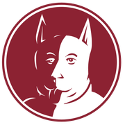 Providence-Steamrollers-Logo-Update-Draft