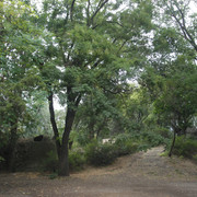 2a03776m