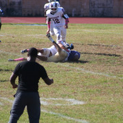 IMG-1223