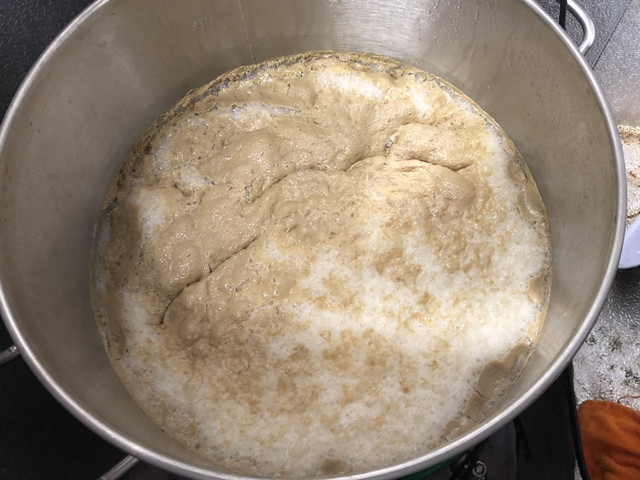 C366-DBA8-B957-40-EF-86-BF-0-B8-DC9-A2-F