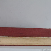 IMG-7442