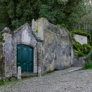 IMGP8268-1