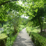 P1320985