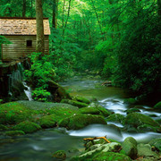 wp4610782-forest-river-wallpapers
