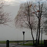 IMGP0027a
