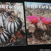 IMG-3307