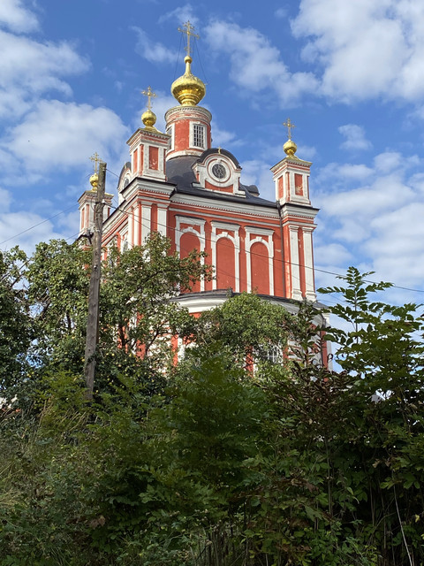 IMG-0503