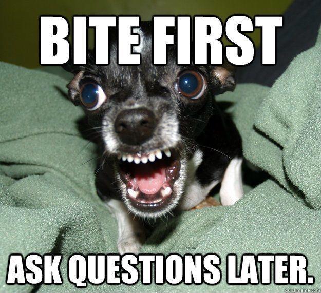 bite.jpg