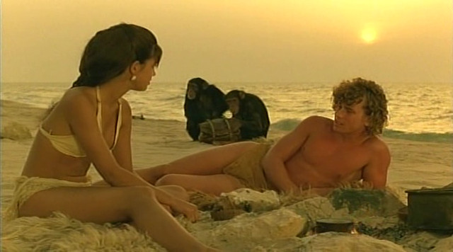 Paradise 3