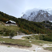 IMG-3217