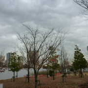 2021-10-11-119