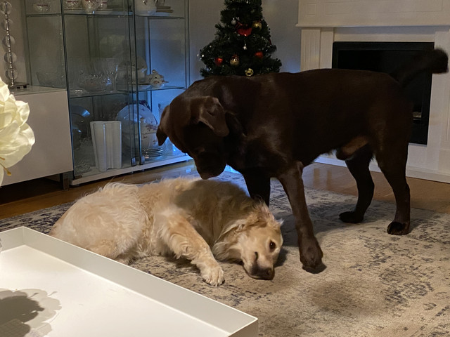 63-F49483-773-C-41-AA-8377-BB1660-D9-FEA