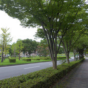 P1340939