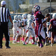 IMG-3587
