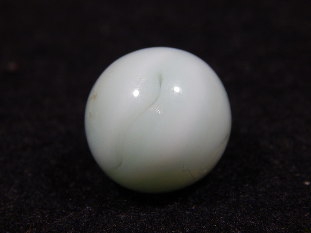 DSCN5414