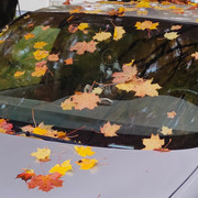 IMG20211002115146