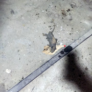 IMG-4858