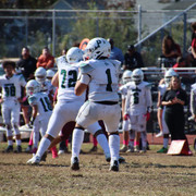IMG-4031
