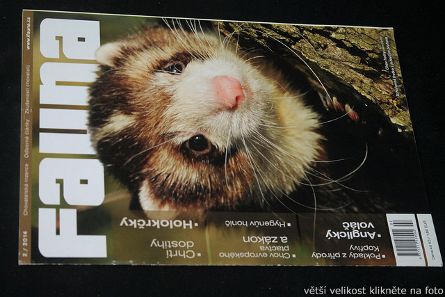 IMG-7742.jpg