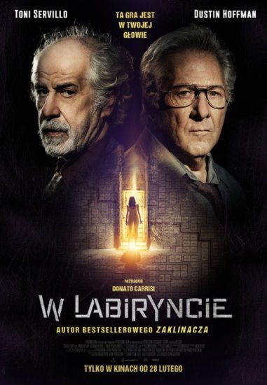 W labiryncie / L'uomo del labirinto (2019) PL.WEB-DL.XviD-GR4PE | Lektor PL