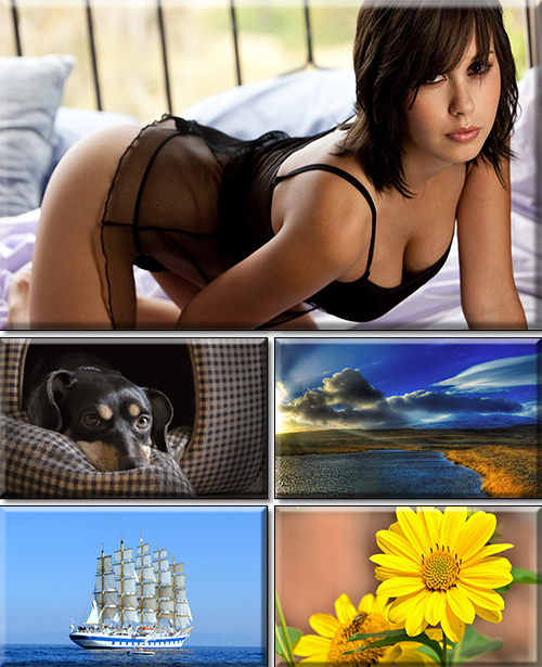 Computer Desktop Wallpapers Collection. Part 3049