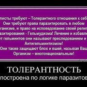 ТОЛЕРАНТНОСТЬ
