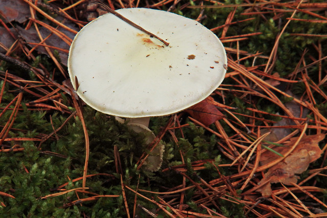 PA010154