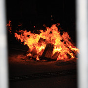 IMG-8380