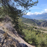 https://i.ibb.co/7Vk2fGH/IMG-20220418-141833.jpg