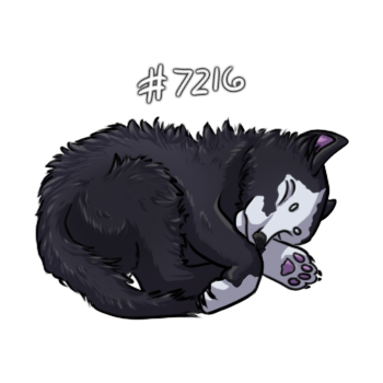 Pet Image