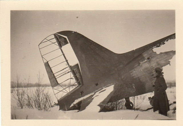 s-l1600