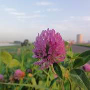 2011-06-29-43