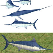 Marlin