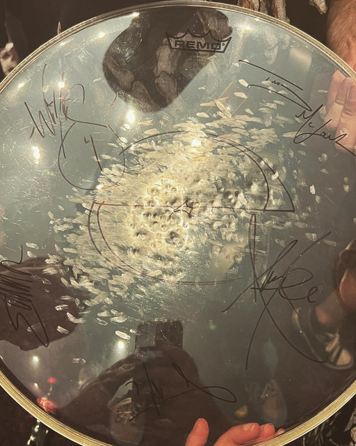 Adriano-Monari-drumhead.jpg