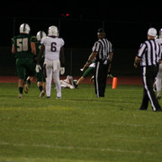 IMG-7137