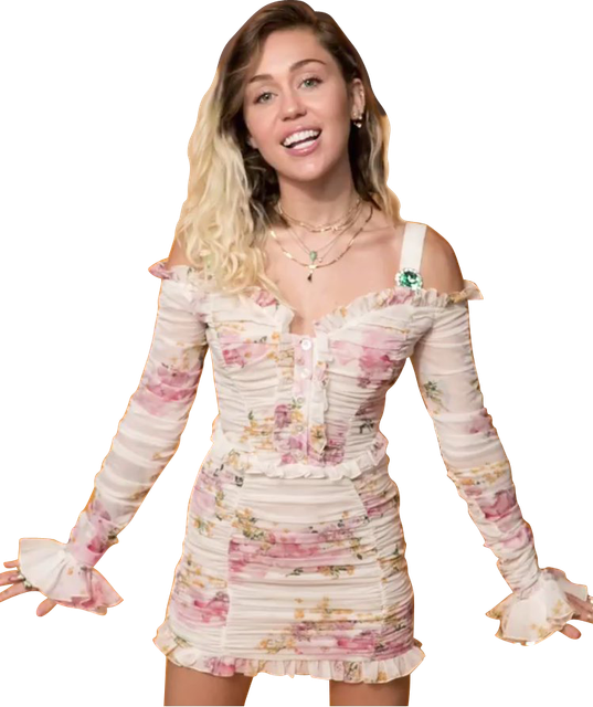 SAM-2