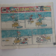 IMG-0117