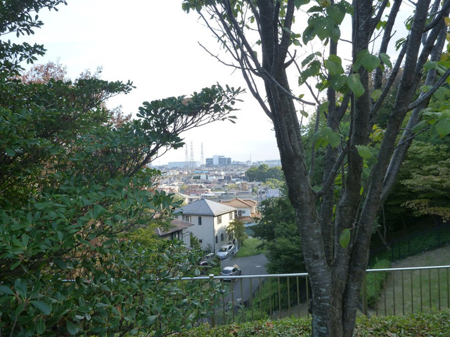 P1350249