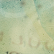 08-11