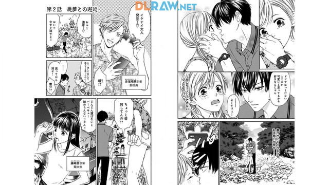 DLRAW-NET-010