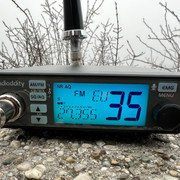 IMG-3831