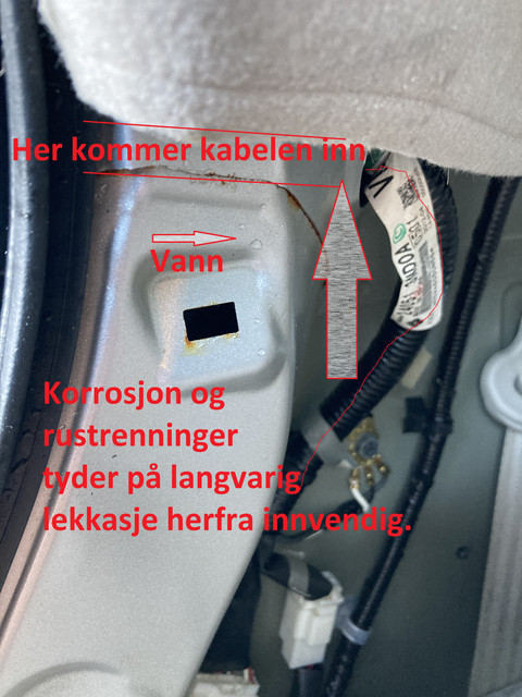 IMG-6797