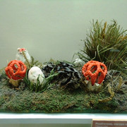 DSC00395