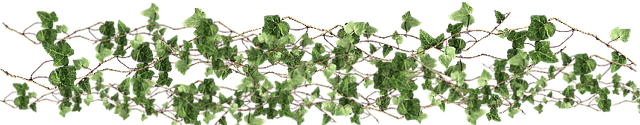C2-B7-Z4e5434-V