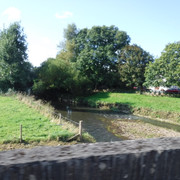 DSCF5499