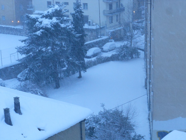 DSCN5386